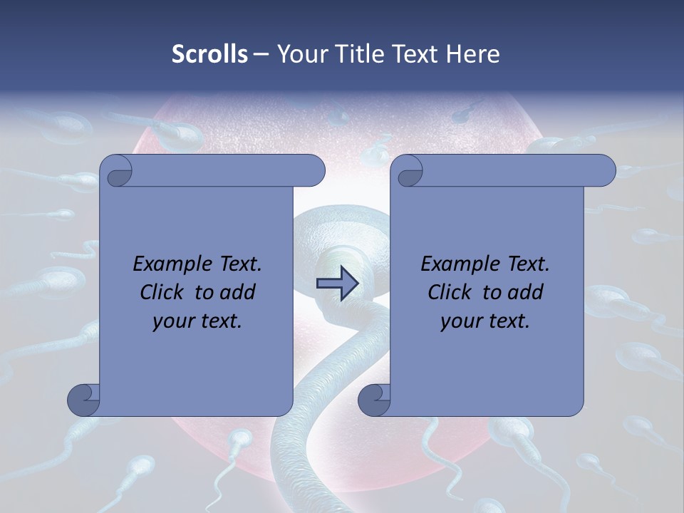 Stem Cell Research Stem Cell Anatomy PowerPoint Template