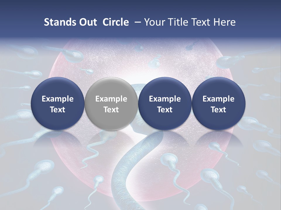 Stem Cell Research Stem Cell Anatomy PowerPoint Template