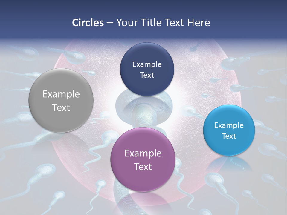 Stem Cell Research Stem Cell Anatomy PowerPoint Template