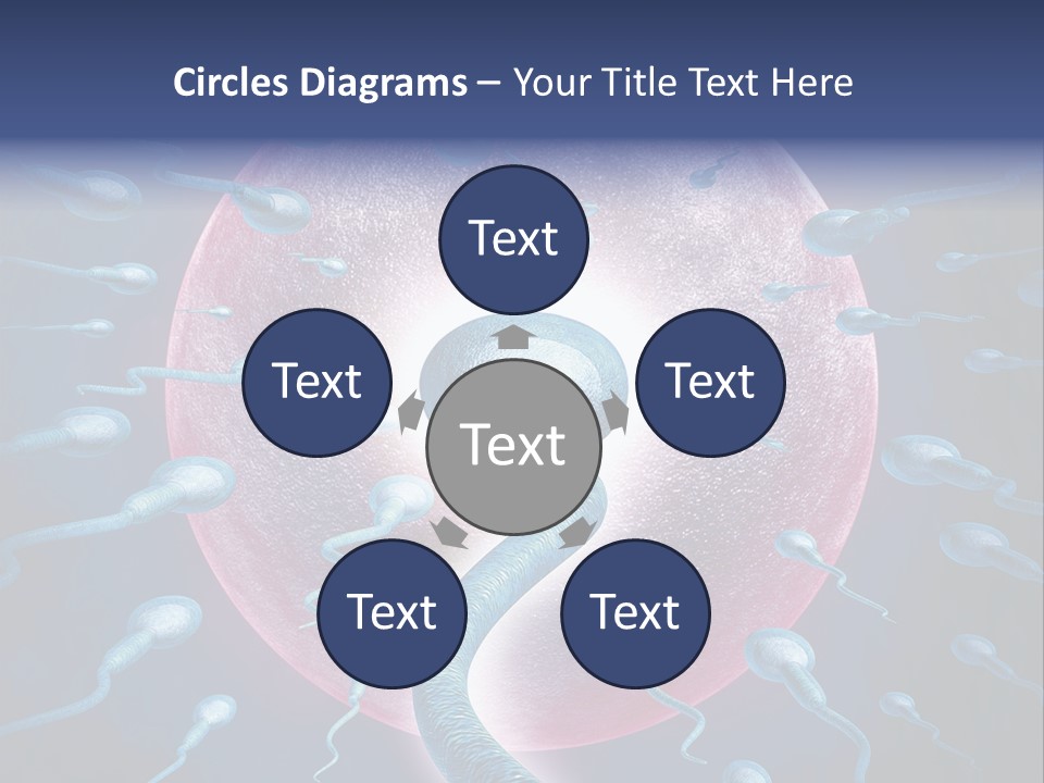Stem Cell Research Stem Cell Anatomy PowerPoint Template