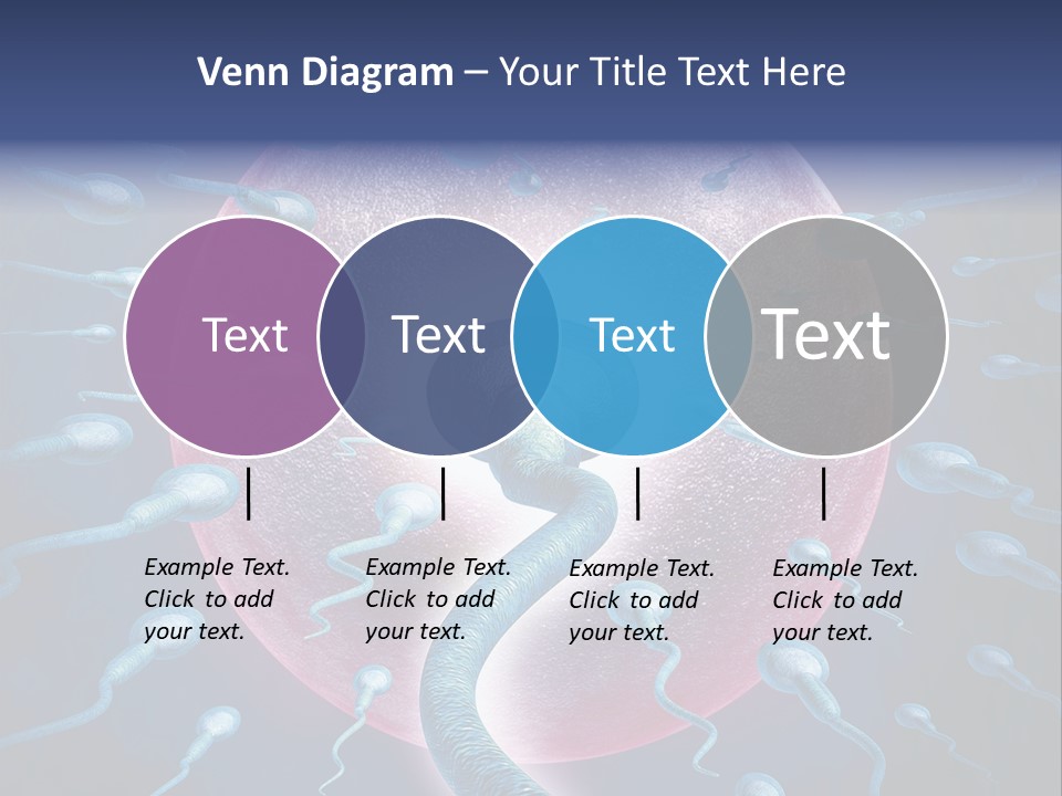 Stem Cell Research Stem Cell Anatomy PowerPoint Template