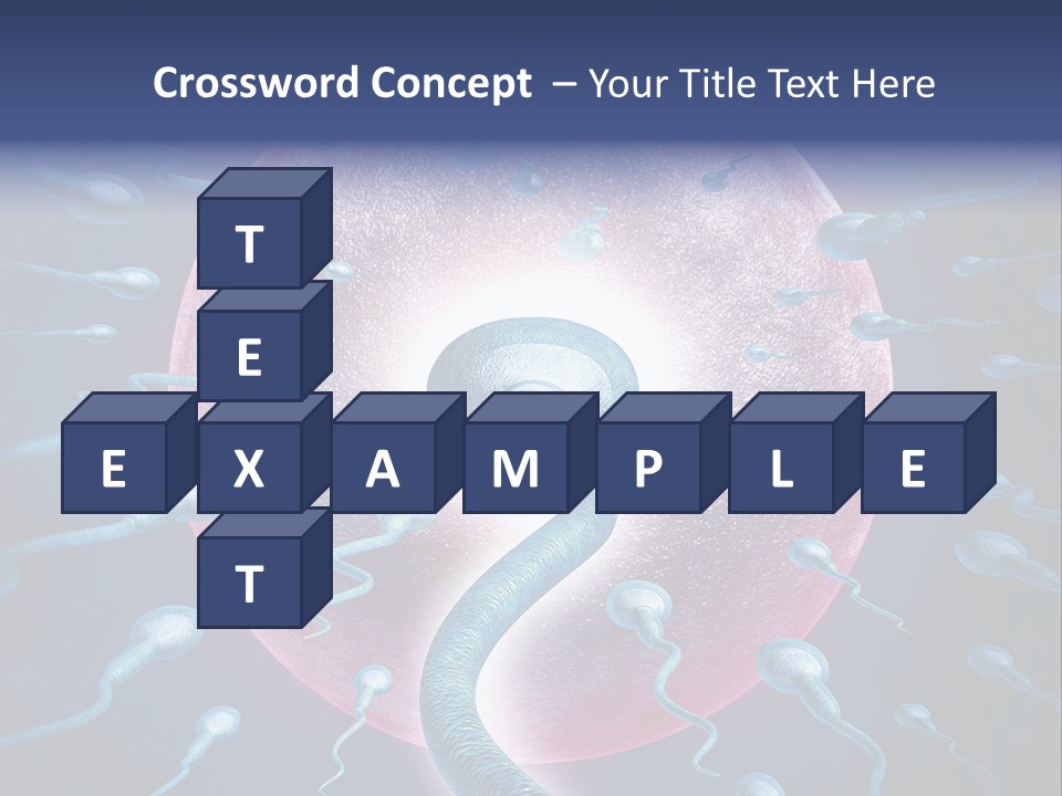 Stem Cell Research Stem Cell Anatomy PowerPoint Template