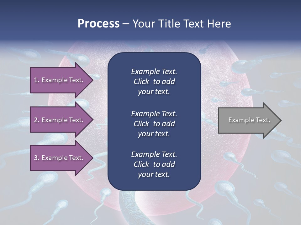 Stem Cell Research Stem Cell Anatomy PowerPoint Template