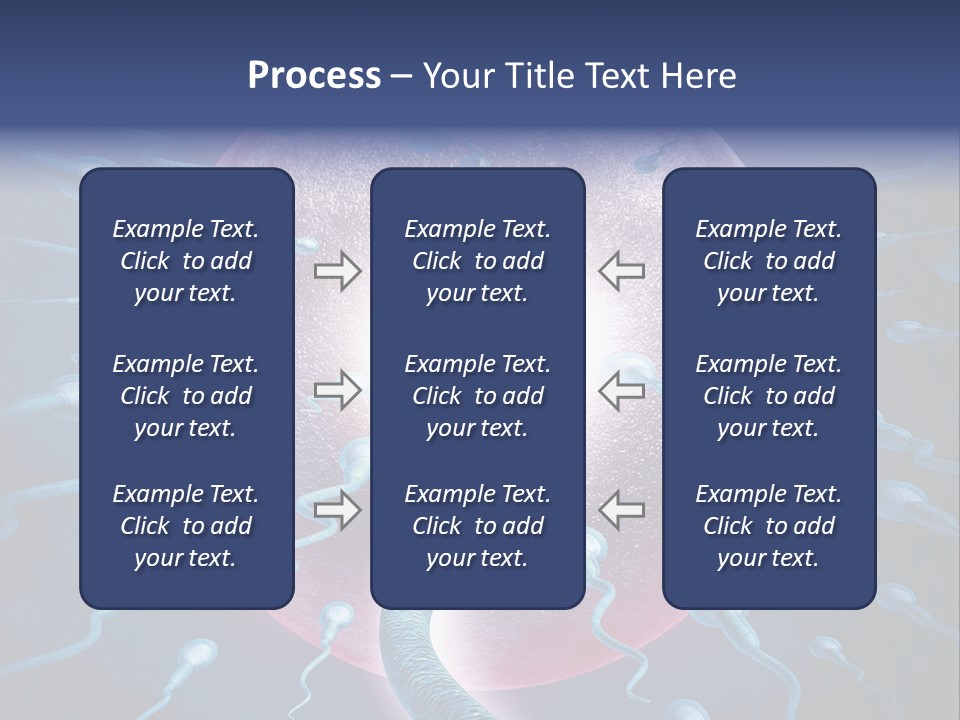 Stem Cell Research Stem Cell Anatomy PowerPoint Template