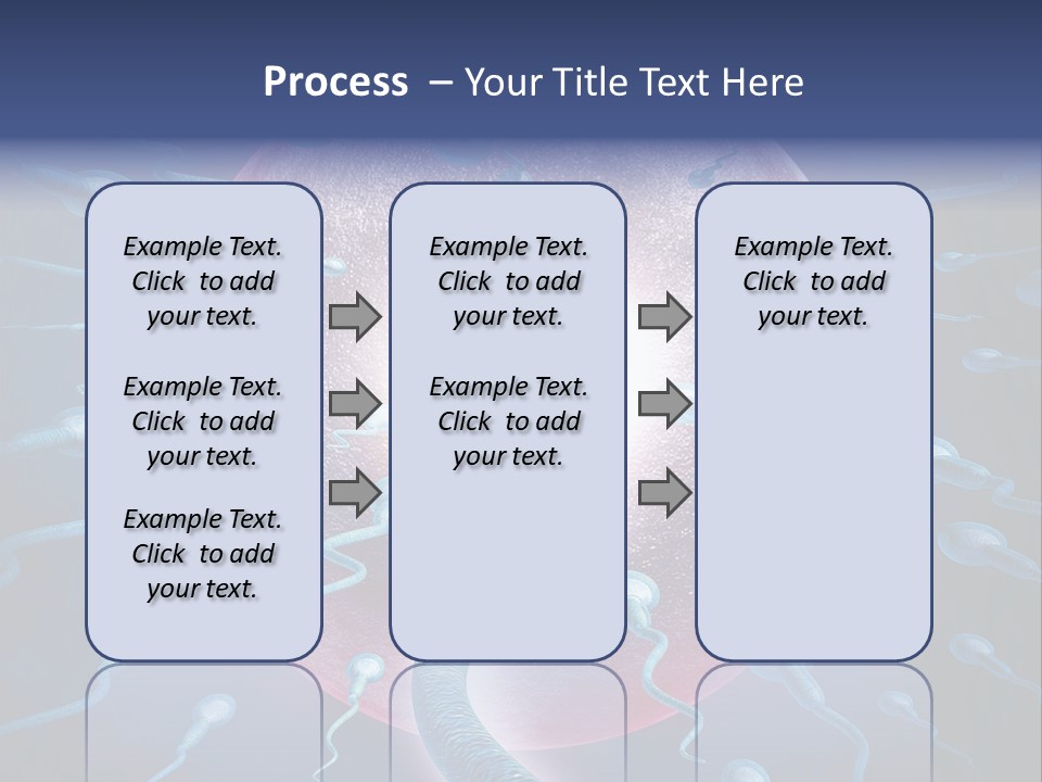 Stem Cell Research Stem Cell Anatomy PowerPoint Template