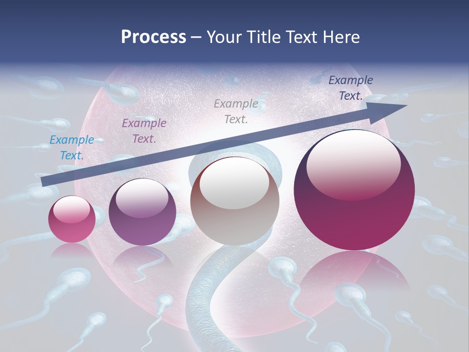 Stem Cell Research Stem Cell Anatomy PowerPoint Template