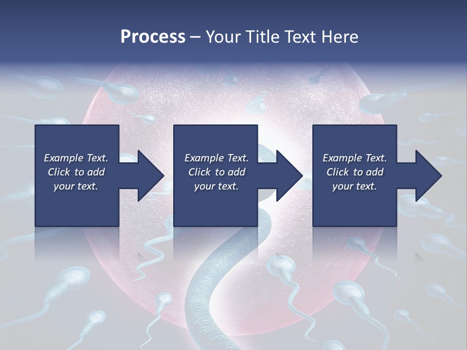 Stem Cell Research Stem Cell Anatomy PowerPoint Template