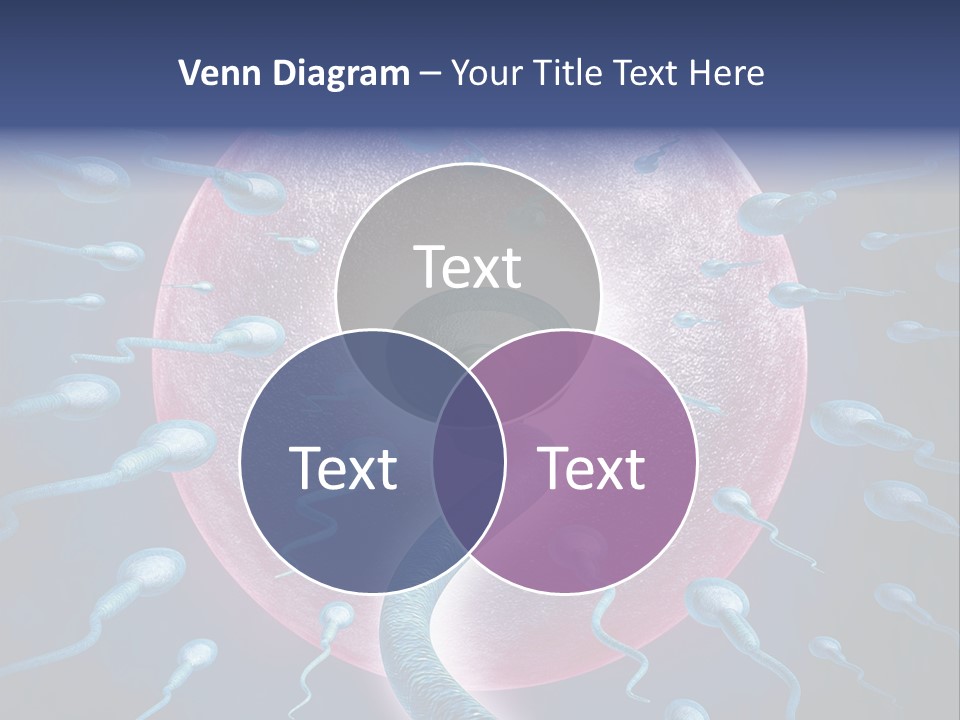 Stem Cell Research Stem Cell Anatomy PowerPoint Template