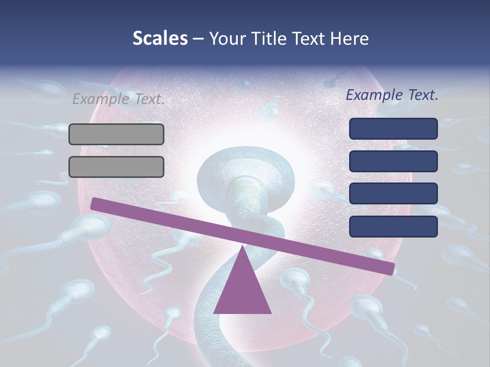 Stem Cell Research Stem Cell Anatomy PowerPoint Template