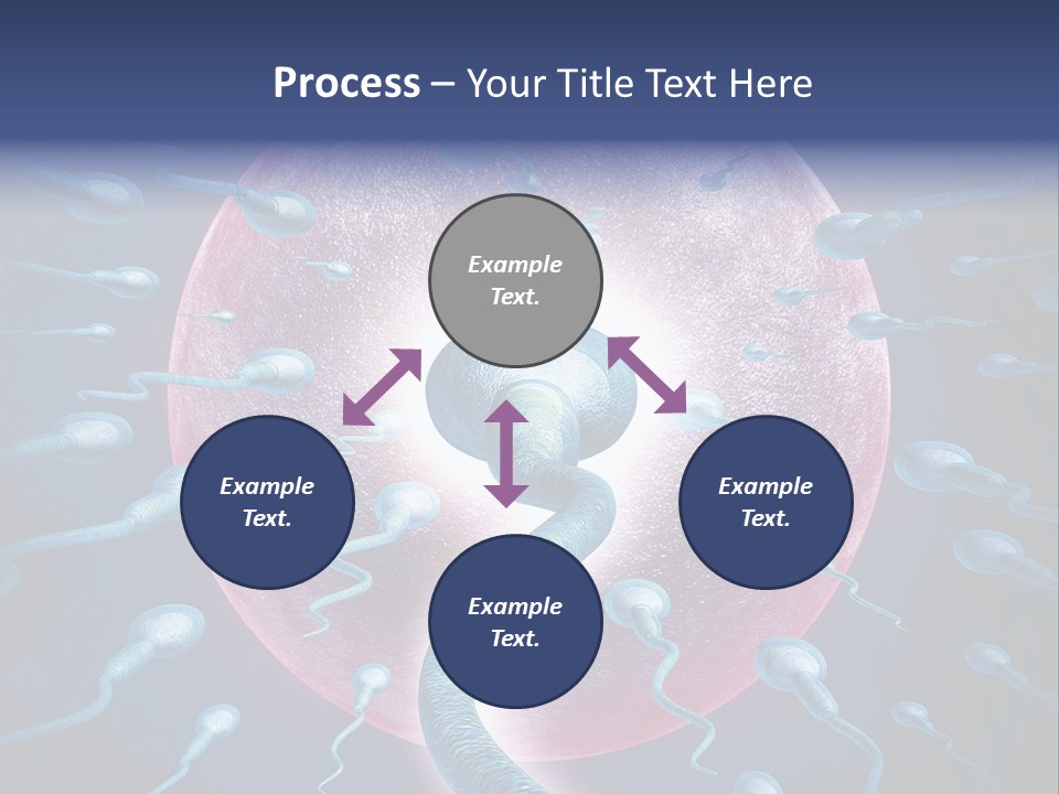 Stem Cell Research Stem Cell Anatomy PowerPoint Template