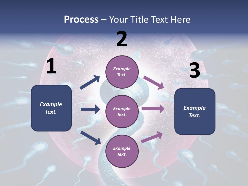 Stem Cell Research Stem Cell Anatomy PowerPoint Template