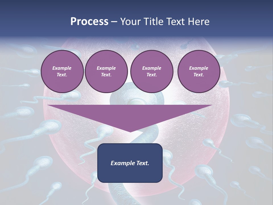 Stem Cell Research Stem Cell Anatomy PowerPoint Template