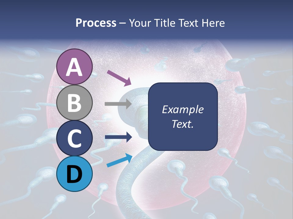 Stem Cell Research Stem Cell Anatomy PowerPoint Template