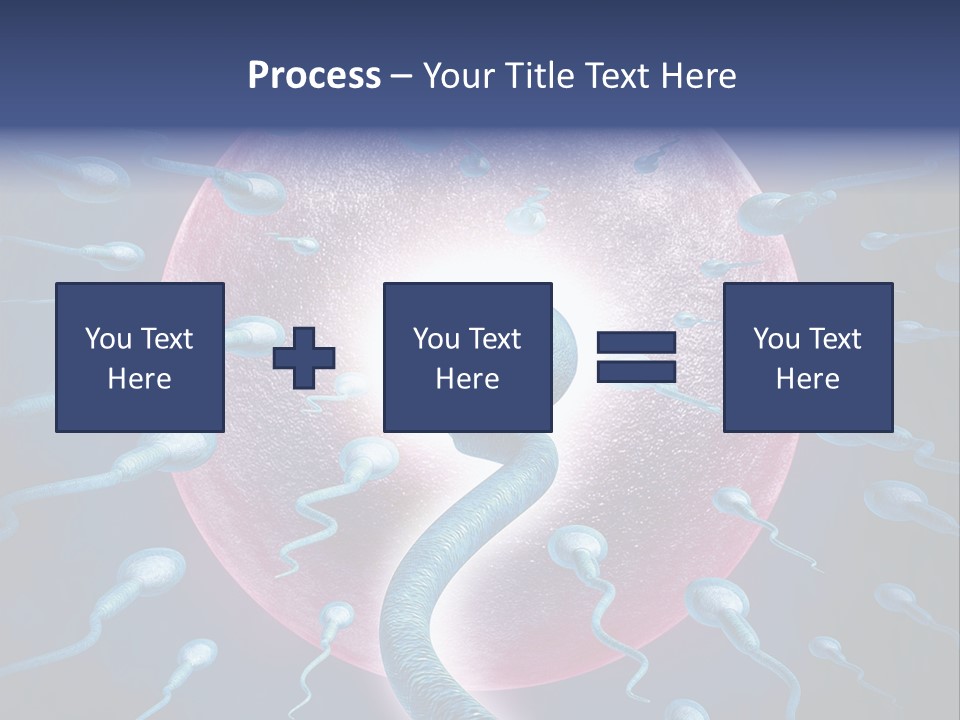 Stem Cell Research Stem Cell Anatomy PowerPoint Template