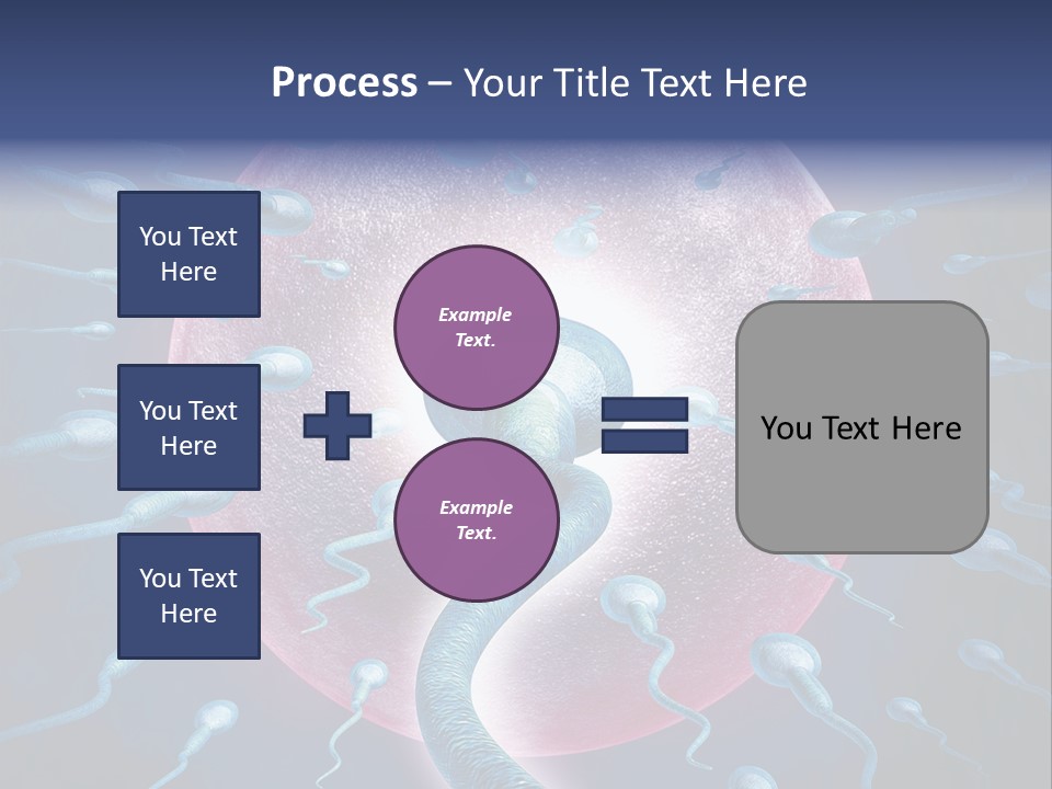 Stem Cell Research Stem Cell Anatomy PowerPoint Template