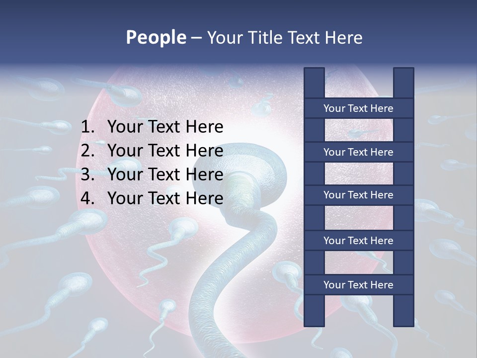 Stem Cell Research Stem Cell Anatomy PowerPoint Template