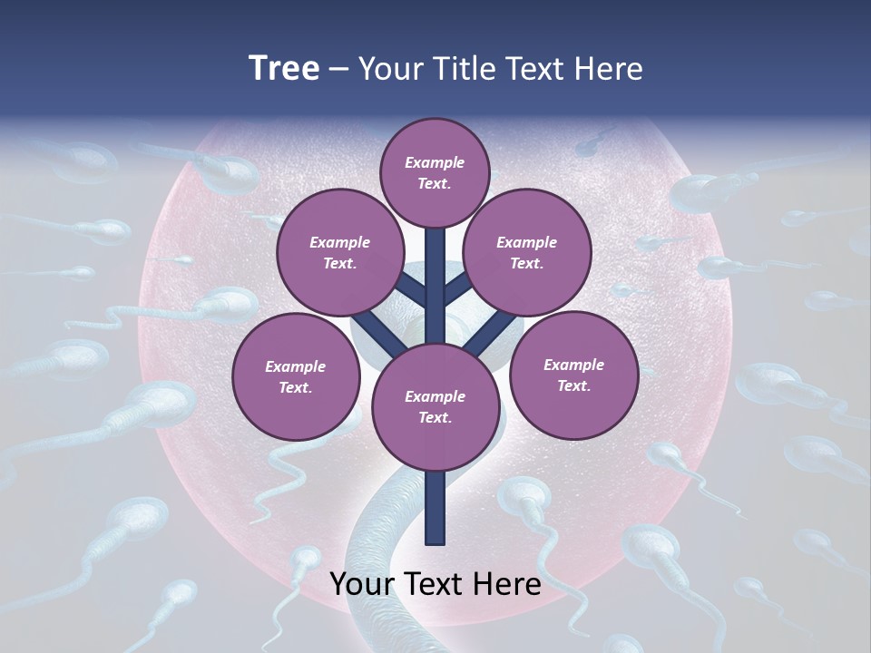 Stem Cell Research Stem Cell Anatomy PowerPoint Template