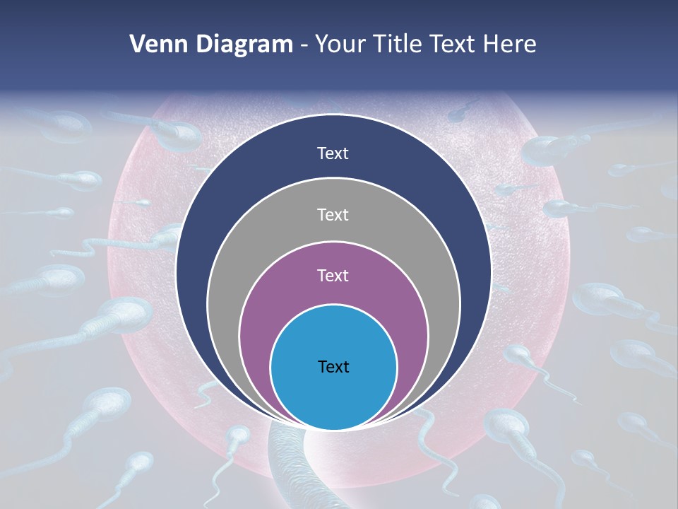 Stem Cell Research Stem Cell Anatomy PowerPoint Template