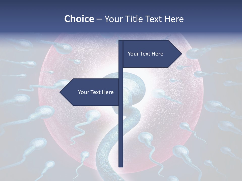 Stem Cell Research Stem Cell Anatomy PowerPoint Template