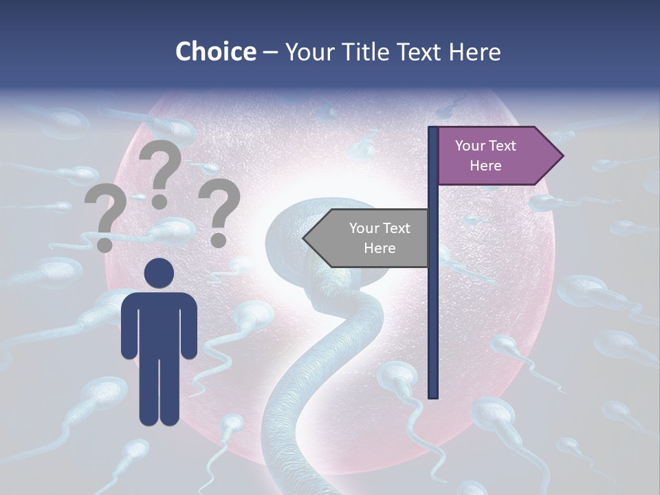 Stem Cell Research Stem Cell Anatomy PowerPoint Template