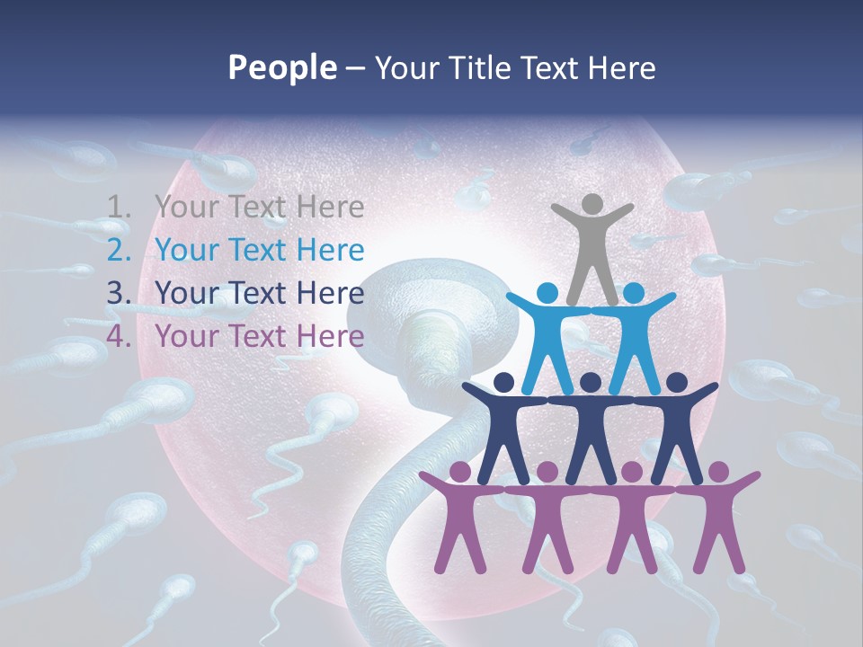 Stem Cell Research Stem Cell Anatomy PowerPoint Template