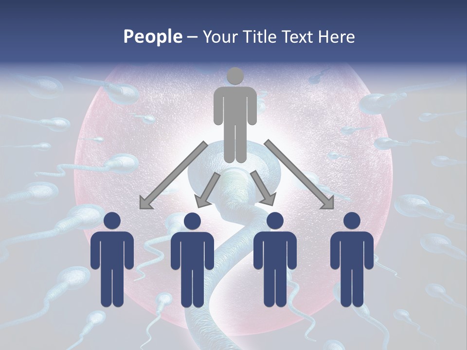 Stem Cell Research Stem Cell Anatomy PowerPoint Template