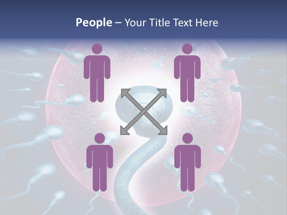 Stem Cell Research Stem Cell Anatomy PowerPoint Template