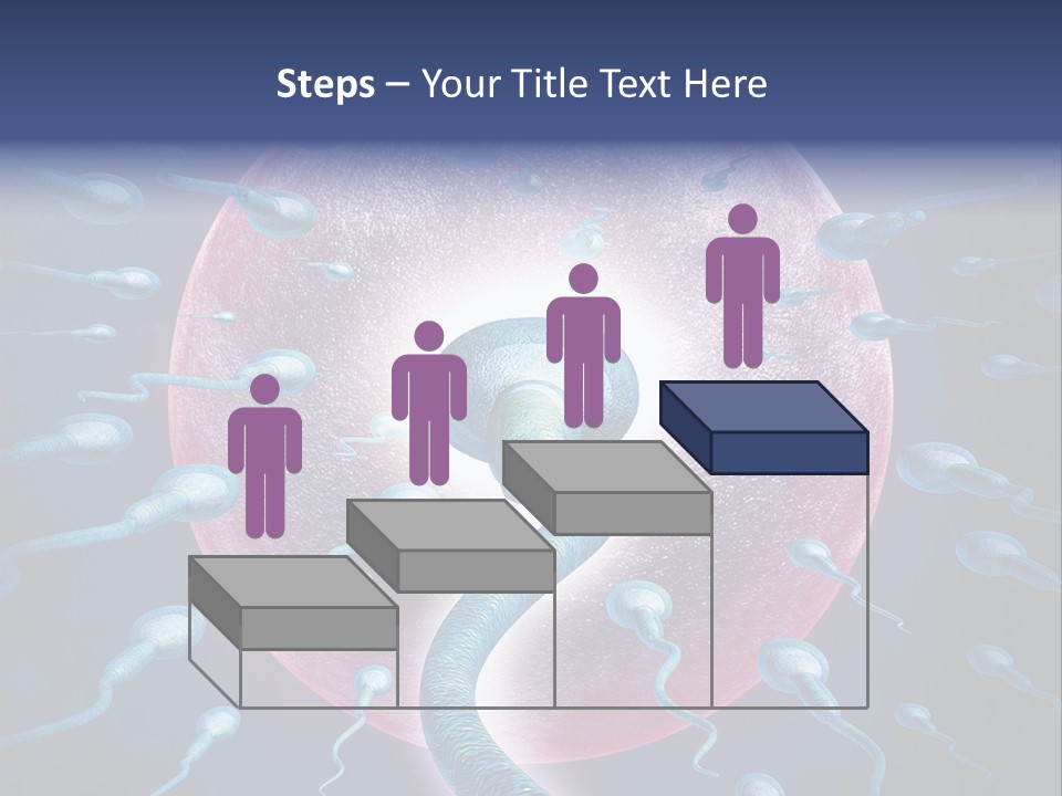 Stem Cell Research Stem Cell Anatomy PowerPoint Template