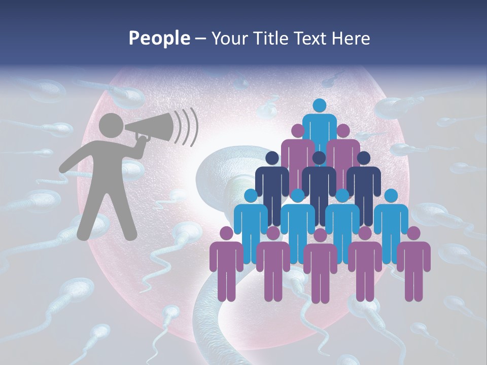 Stem Cell Research Stem Cell Anatomy PowerPoint Template