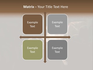 Bat Tropical Mammal PowerPoint Template