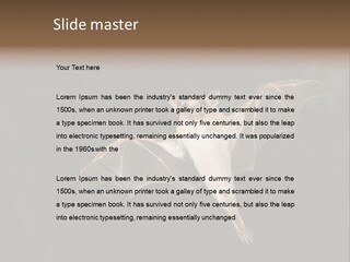 Bat Tropical Mammal PowerPoint Template