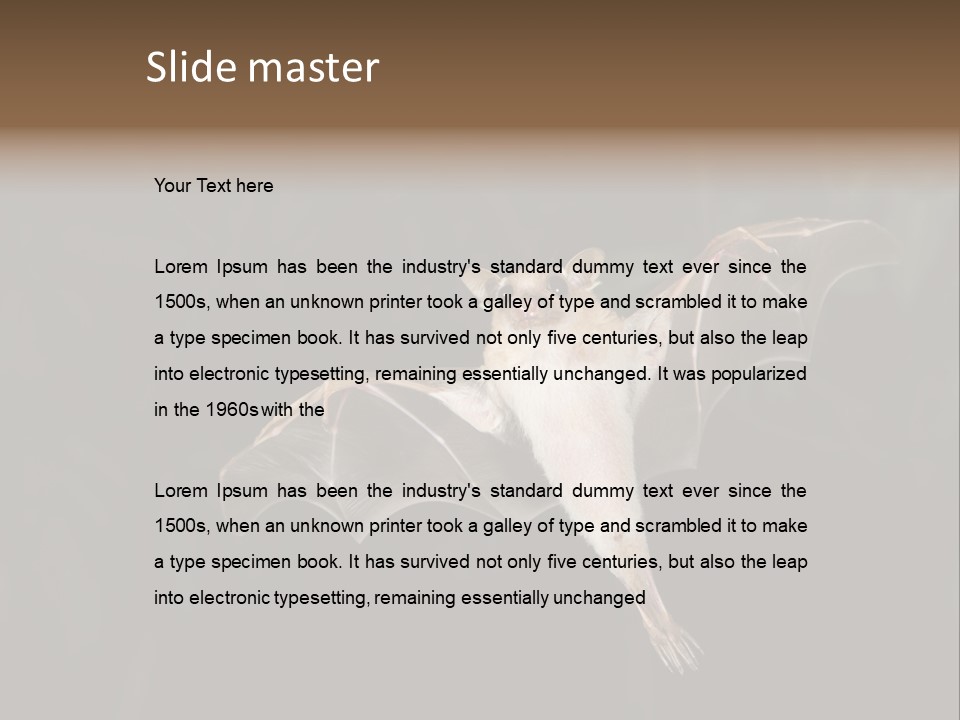 Bat Tropical Mammal PowerPoint Template