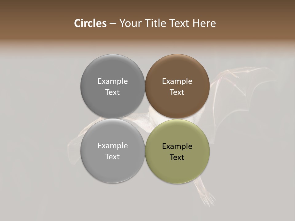 Bat Tropical Mammal PowerPoint Template