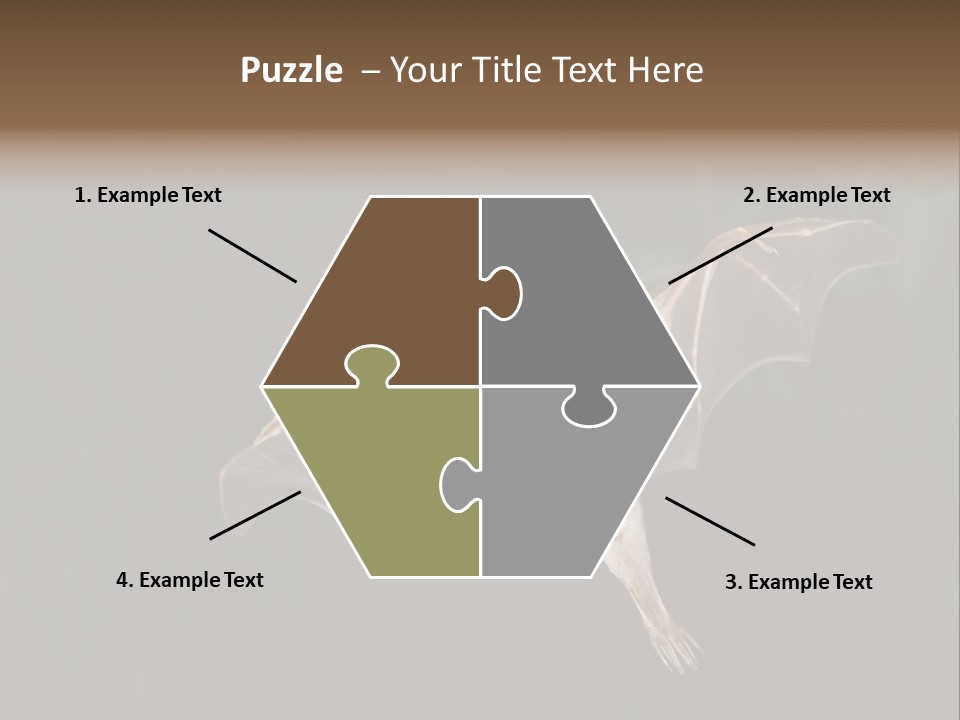 Bat Tropical Mammal PowerPoint Template