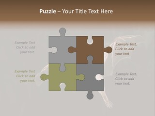 Bat Tropical Mammal PowerPoint Template