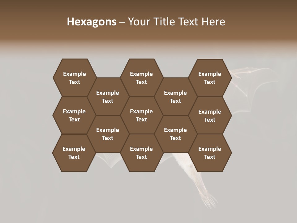 Bat Tropical Mammal PowerPoint Template