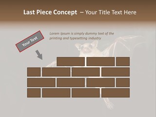 Bat Tropical Mammal PowerPoint Template