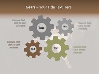 Bat Tropical Mammal PowerPoint Template