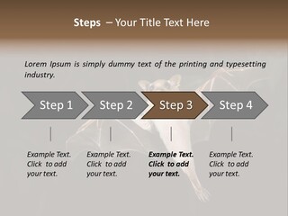 Bat Tropical Mammal PowerPoint Template