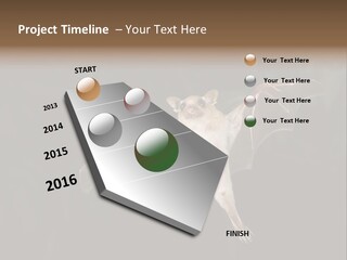 Bat Tropical Mammal PowerPoint Template