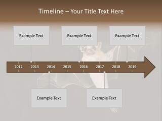 Bat Tropical Mammal PowerPoint Template
