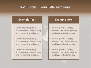 Bat Tropical Mammal PowerPoint Template