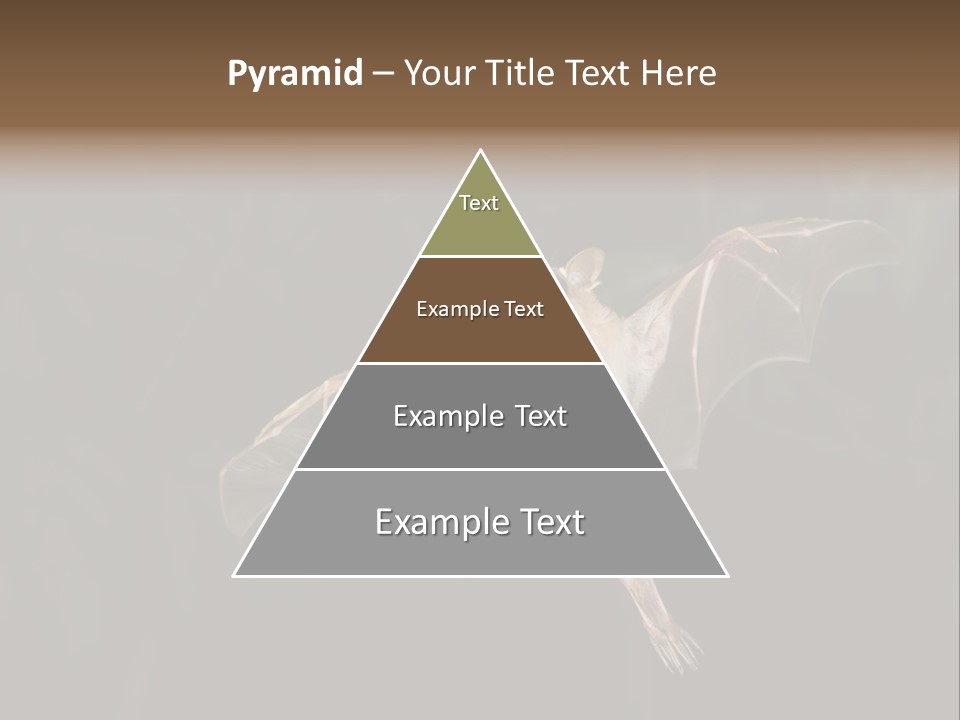 Bat Tropical Mammal PowerPoint Template