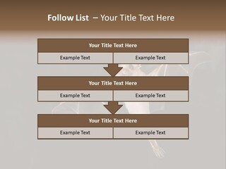 Bat Tropical Mammal PowerPoint Template