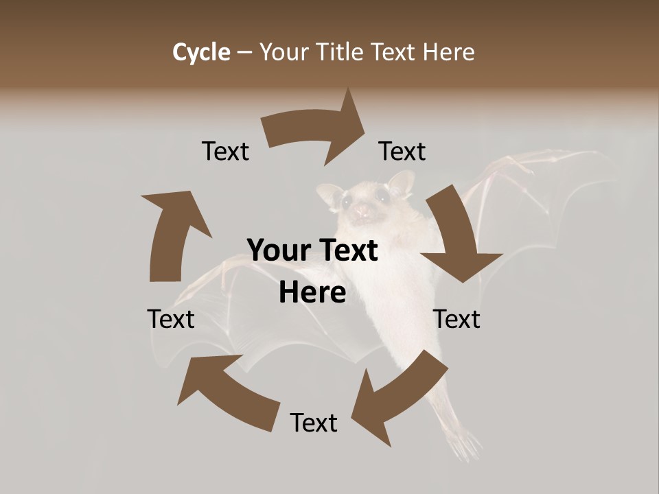 Bat Tropical Mammal PowerPoint Template