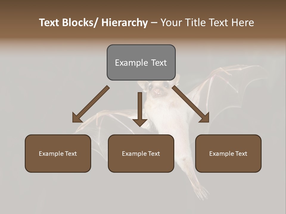 Bat Tropical Mammal PowerPoint Template