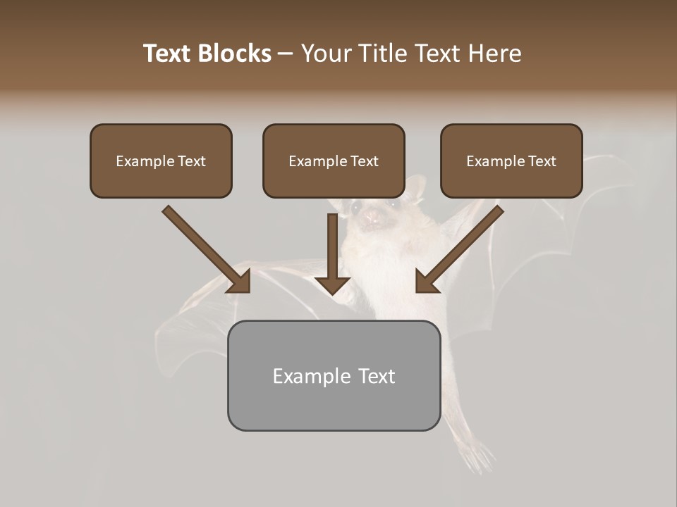Bat Tropical Mammal PowerPoint Template