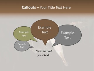 Bat Tropical Mammal PowerPoint Template