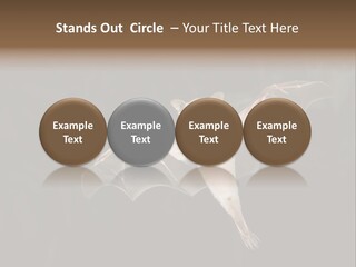 Bat Tropical Mammal PowerPoint Template