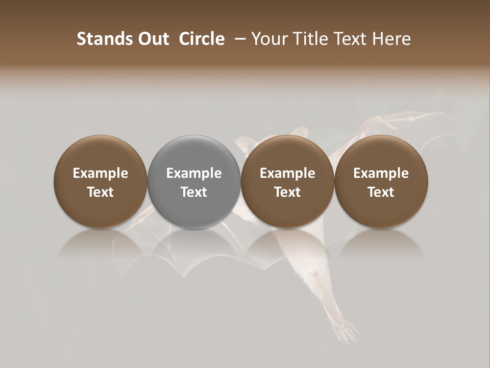 Bat Tropical Mammal PowerPoint Template